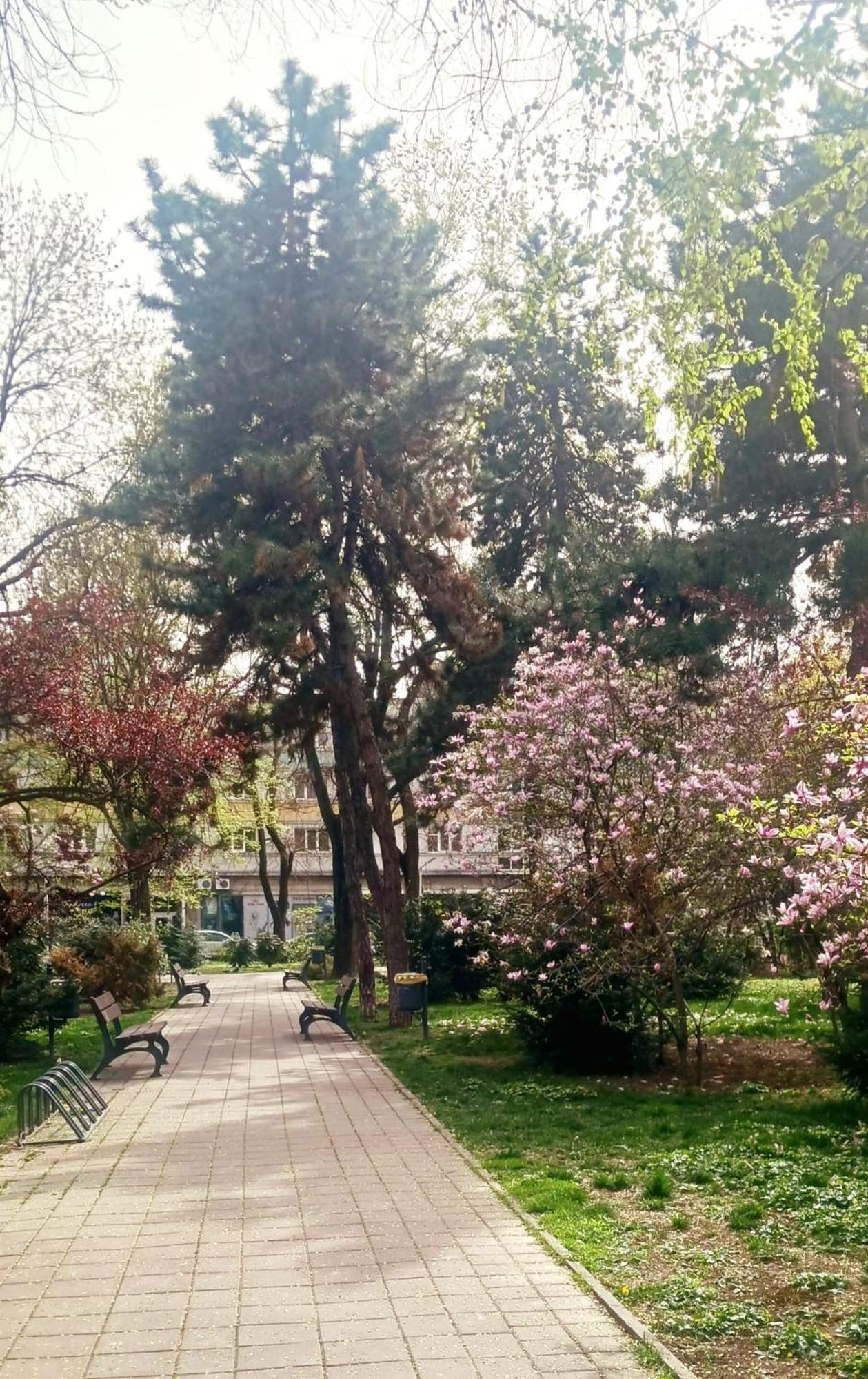 The House In The Park Bucharest Apartment Exterior photo